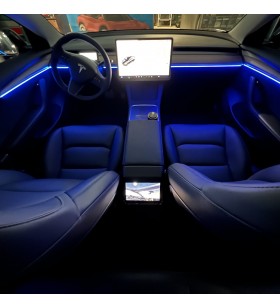 Ambient Light Tesla Model 3