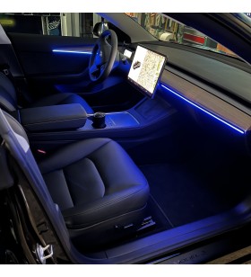 Ambient Light Tesla Model Y