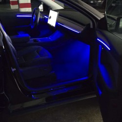 Ambient Light Tesla Model Y