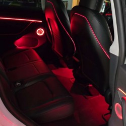 Ambient Light Tesla Model Y