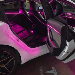 Ambient Light Tesla Model 3