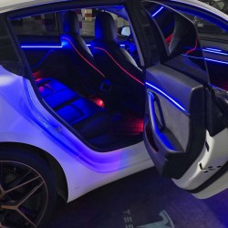 Ambient Light Tesla Model 3