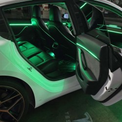 Ambient Light Tesla Model 3