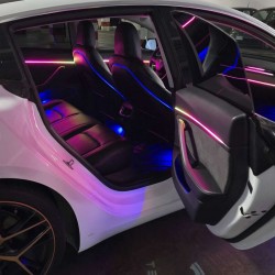 Ambient Light Tesla Model 3