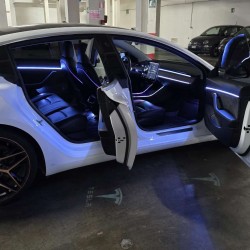 Ambient Light Tesla Model 3