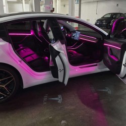 Ambient Light Tesla Model 3