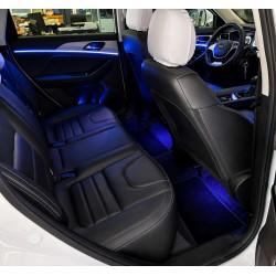 Ambient Light EVO 5