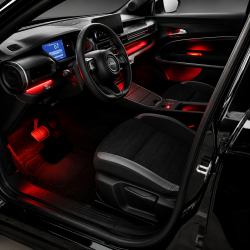 Ambient Light Jeep Avenger
