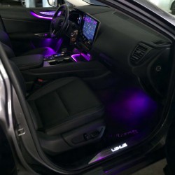 Ambient Light viola Lexus NX 350h - plancia e console